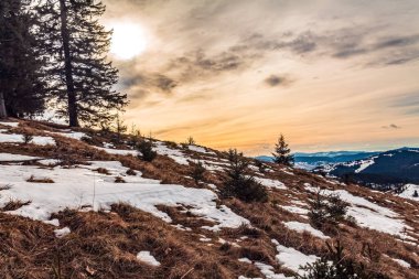 Karla kaplı ağaçlarla kaplı dağ manzarası.