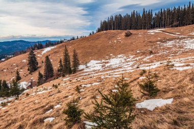 Karla kaplı dağlı güzel kış manzarası