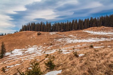 Karpat Dağları 'ndaki kış manzarası