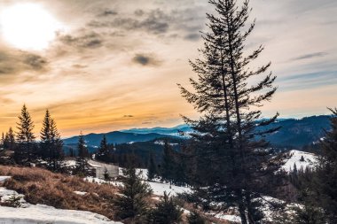 Bir dağ yolu ile kış manzarası