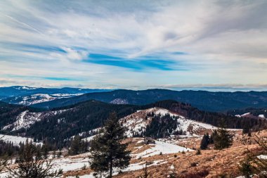 Karla kaplı ağaçlarla kaplı kış manzarası