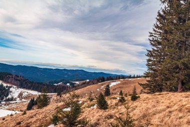 Vitoşa Dağı 'nın muhteşem sonbahar manzarası, Sofya Şehri Bölgesi, İspanya