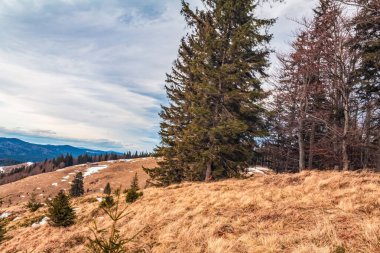 Karpatlar 'da bir dağ sırası olan sonbahar manzarası