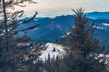 Dağlardaki, ağaçlardaki ve kardaki kış manzaraları