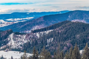 Karpatlar 'daki Ukraynalı Karpatların kış manzarası
