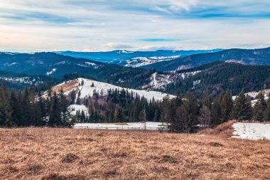 Polonya Karpat Dağlarında kış