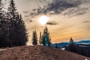 Karla kaplı ağaçlarla kaplı kış manzarası