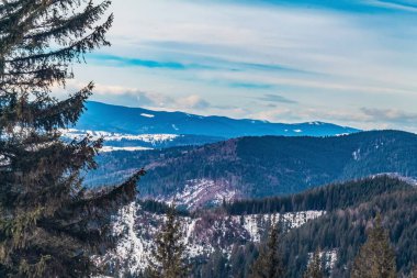 Karla kaplı ağaçlarla kaplı güzel kış manzarası
