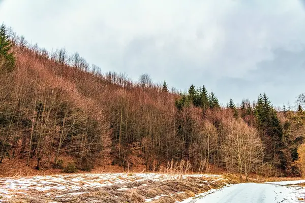 Güzel kış dağ manzarası