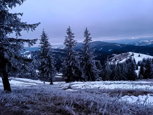 Bol karlı güzel kış manzarası