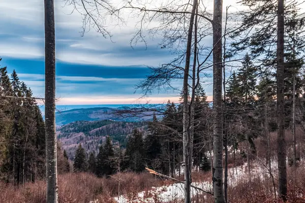 Tepenin tepesinden manzara