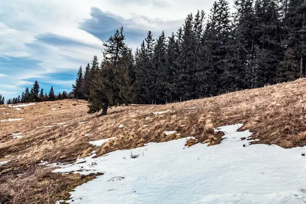 Karla kaplı ağaçlarla kaplı güzel kış manzarası