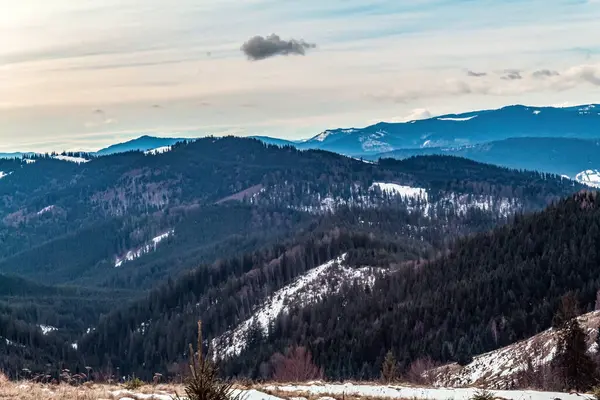 Dağları ve ormanı olan güzel bir manzara.