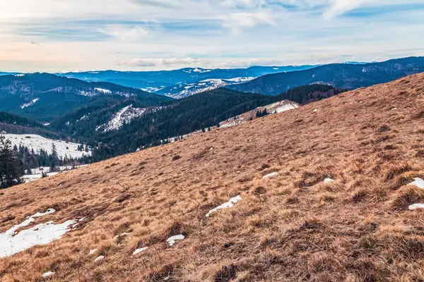 Karpatlar 'daki güzel dağ manzarası