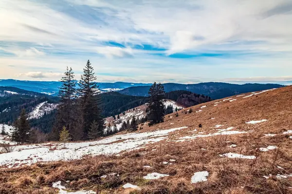 Güzel sonbahar manzarası karla kaplı ağaçlar