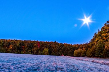 Kar ve ağaçlarla dolu güzel kış manzarası
