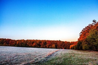 Sonbahar ormanı ve renkli günbatımı