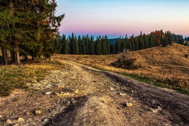 Gün batımında sonbahar yol.