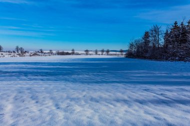 donmuş nehir kışın karla kaplı ağaçlarla