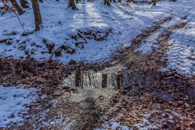 Kar birikintisi olan kış manzarası