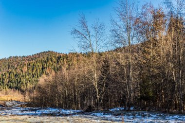 Ağaçların ve dağların olduğu ormanda kış