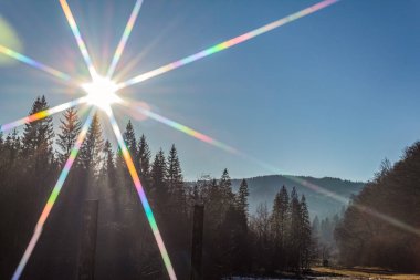 Karlı ve ağaçlı güzel bir manzara.