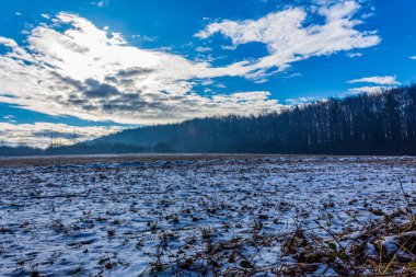 Kırsalda kış tarlaları.