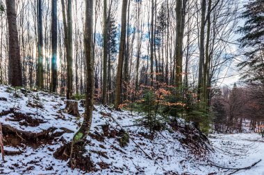 Dağlardaki güzel kış manzarası