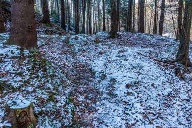 Dağlardaki güzel kış manzarası