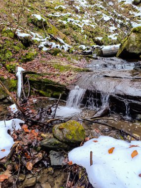 Güzel bir şelale orman manzarası
