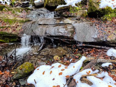 Ormanda bir şelale.