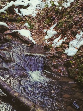 Ormanda güzel bir şelale