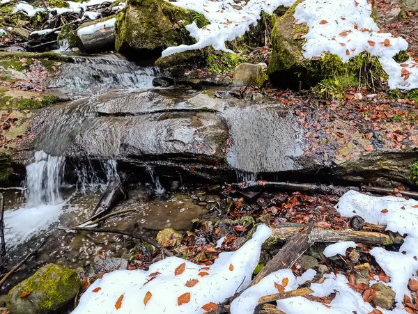 Ormanda güzel bir şelale