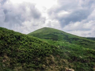 Yeşil dağ manzarası. doğa arkaplanı