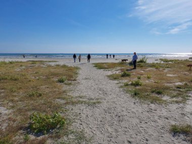 Baltık Denizi 'ndeki plaj