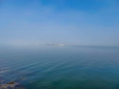 Hayvanlar, Hayvanlar, Doğa, Üra, Doğu Avrupa, Romanya