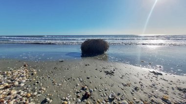 Sahilde büyük dalgalar var.