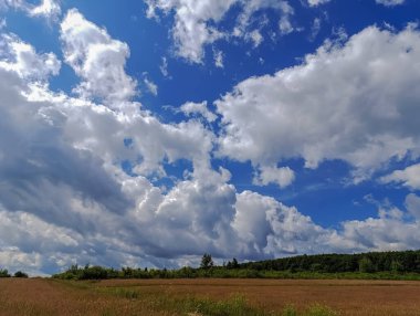 Bulutlu gökyüzü ve doğa ile güzel bir manzara.