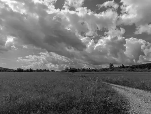 Bulutlu gökyüzünde ağaçlarla çevrili kırsal bir yolun güzel manzarası.