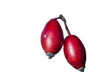 Beyaz zeminli kırmızı nar. izole.