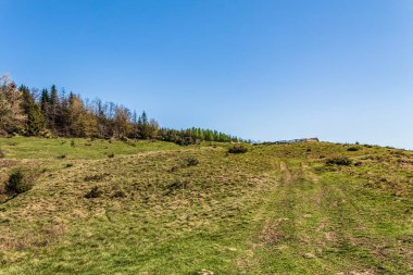 Baharda Ukrayna Karpatlarında yeşil tepeler