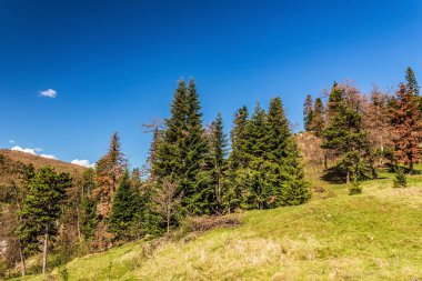 Karpat Dağlarının güzel sonbahar manzarası