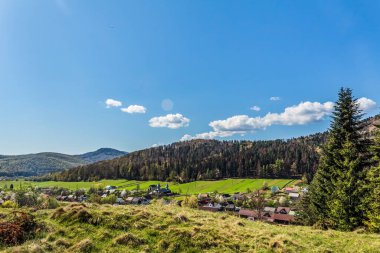 Arka planda yeşil çimenler ve dağlar olan güzel yaz manzarası