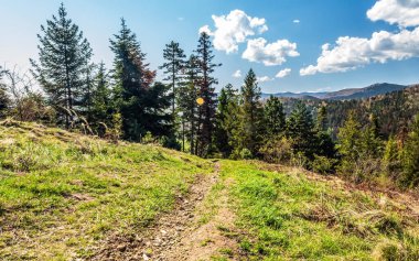 Karpat Dağları 'ndaki güzel dağ manzarası