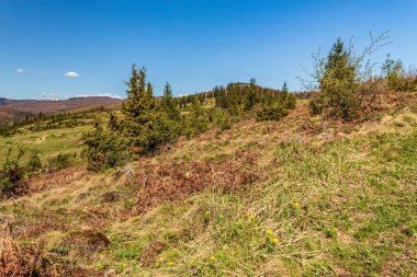 Romanya 'daki Karpatlar' ın güzel manzarası
