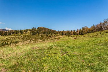 Dağları ve mavi gökyüzü olan güzel bir manzara.