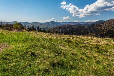 Dağlardaki mavi gökyüzünün altında çimenli bir tarlanın güzel manzarası.
