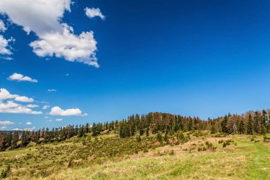 Ufukta ağaçlar ve ormanlar olan dağlar, bulutlu mavi gökyüzü.