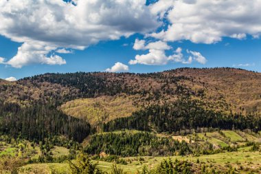 Ukrayna 'daki Karpat ormanındaki güzel dağlar.