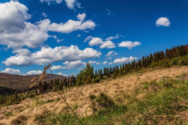 İsrail 'in kuzeyindeki dağlarda dağ manzarası.